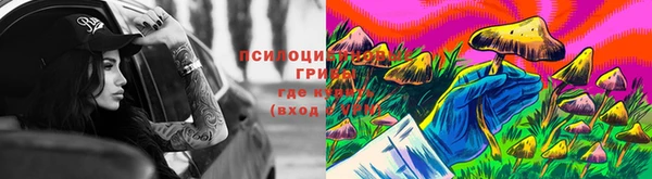 бошки Нефтегорск