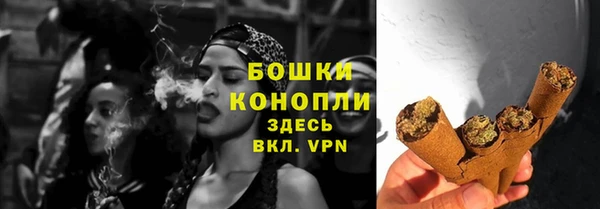 мдпв Нея
