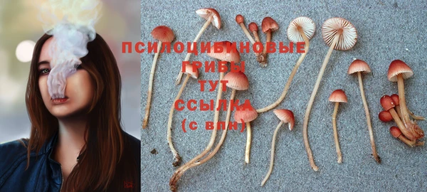 марихуана Дмитров