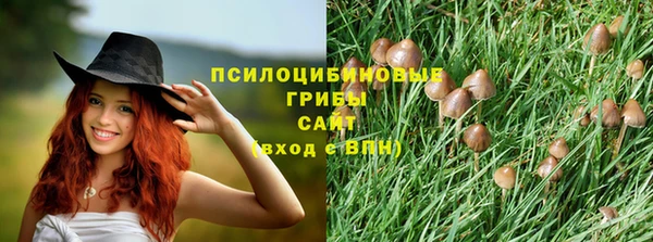 бошки Нефтегорск